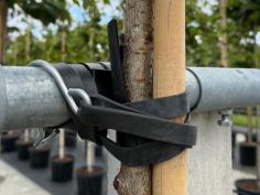 Ostreifix C5 Hook | 48mm Pipe