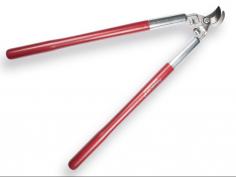 Branche shear Freund